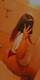 Foto privada de Gattina_Regina